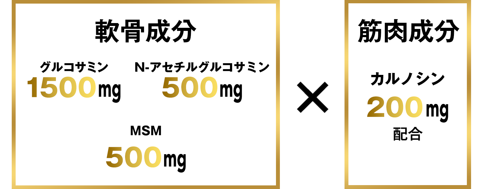 【軟骨成分】グルコサミン1500mg コンドロイチン含有軟骨エキス末200mg N-アセチルグルコサミン500mg MSM500mg×【筋肉成分】カルノシン200mgの高配合