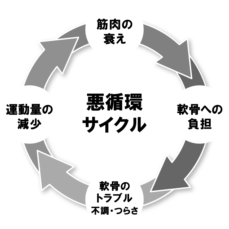 悪循環サイクル、筋肉の衰え・軟骨への負担・軟骨のトラブル不調つらさ・運動量の減少