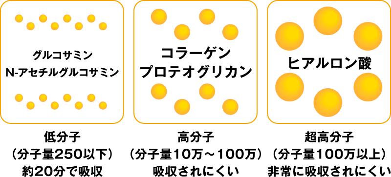 グルコサミン・N-アセチルグルコサミン→低分子(分子量250以下)約20分で吸収、コラーゲン・プロテオグリカン→高分子(分子量10万?100万)吸収されにくい、ヒアルロン酸→超高分子(分子量100万以上)非常に吸収されにくい